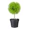 9.75" Green Ball Shaped Artificial Potted Topiary